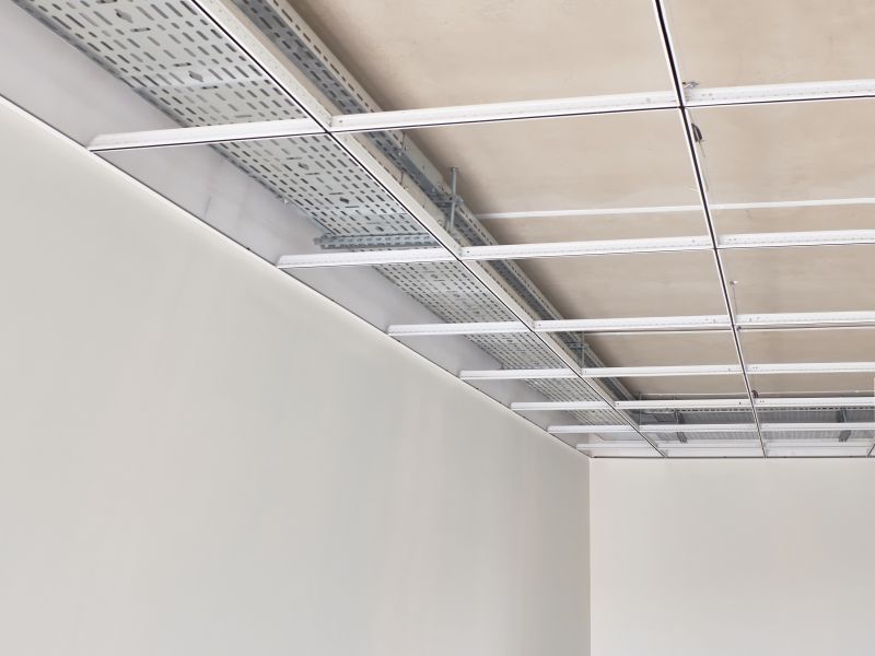 Ceiling Panel Repair in Longmont, CO