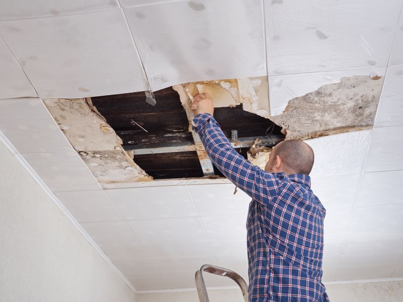 Ceiling Seam Repair