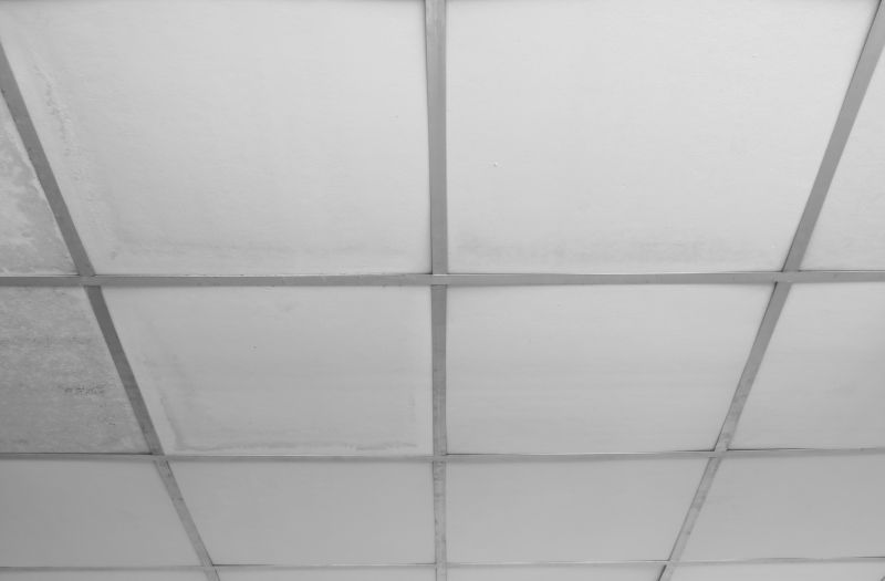 Ceiling Tiles Repair in Longmont, CO