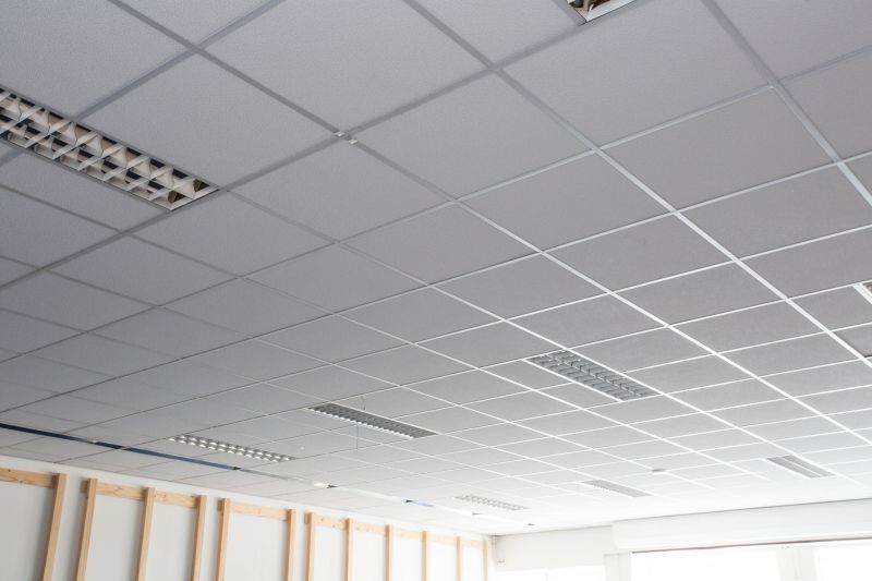 Suspended Ceiling Installation in Longmont, CO