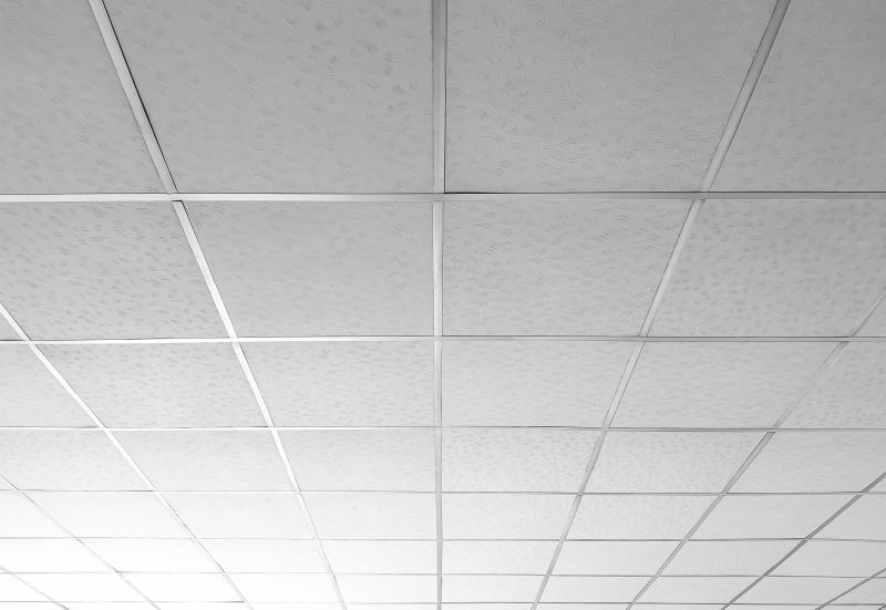T Bar Ceiling Installation in Longmont, CO