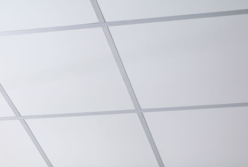 Grid Ceiling Installation in Boulder, CO